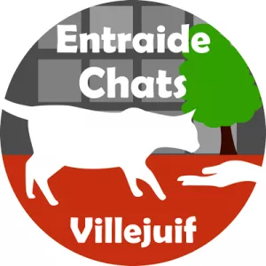 Entraide Chats Villejuif - Association loi 1901