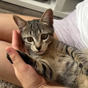 Betty